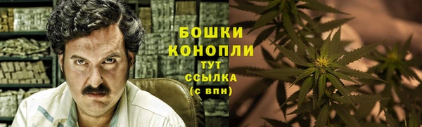 мескалин Новодвинск