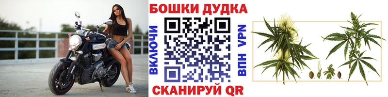 Купить закладки  Сковородино  Каннабис индика 